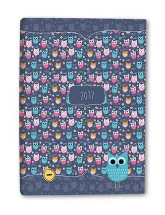 Diář B6 Owls denní 2017