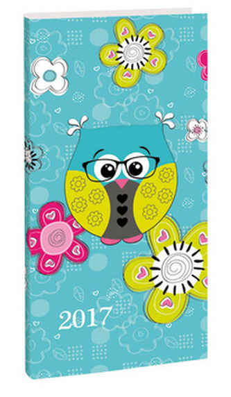 Diář A6 Ralph týdenní 2017