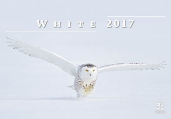 Kalendář nástěnný 2017 - White/Exclusive