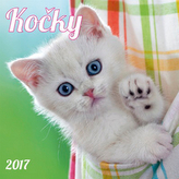 Kočky 2017 - nástěnný kalendář
