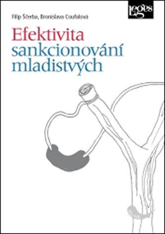 Efektivita sankcionování mladistvých Efektivita sankcionování mladistvých
