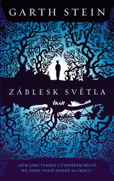 Záblesk světla