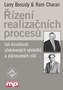 Řízení realizačních procesů