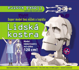 Lidská kostra - super model bez nůžek a lepidla
