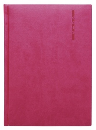 Diář 2013 denní A5 - Gaia