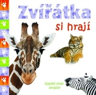 Zvířátka si hrají