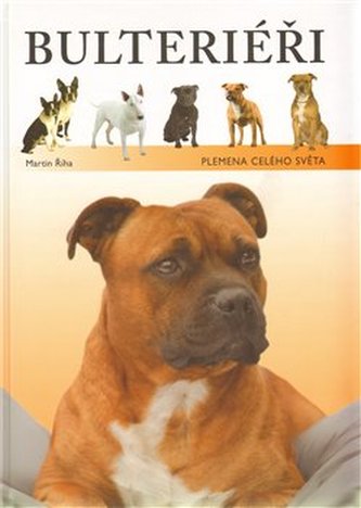 Bulteriéři Bulteriéři