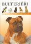 Bulteriéři
