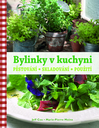 Bylinky v kuchyni