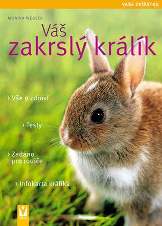 Váš zakrslý králík - Vaše zvířátko