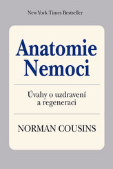 Anatomie nemoci očima pacienta - Úvahy o uzdravení a regeneraci