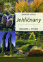 Jehličnany