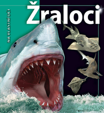 Žraloci na vlastní oči