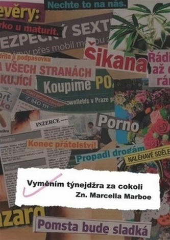 Vyměním týnejdžra za cokoli