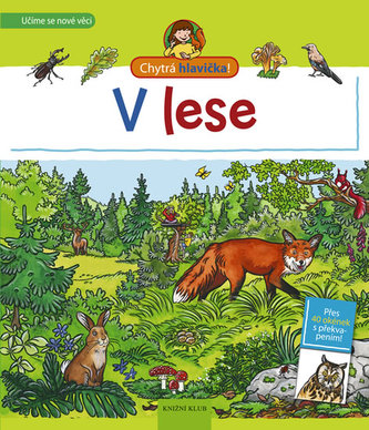 V lese V lese