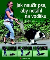 Jak naučit psa, aby netáhl na vodítku - Rady teriéra Bertíka