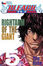 Bleach 5