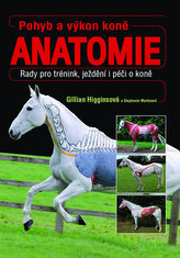 Pohyb a výkon koně - Anatomie