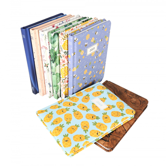 Albi Diář 2024 B6 týdenní