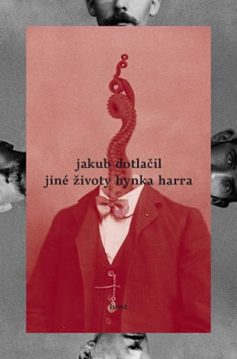 Jiné životy Hynka Harra