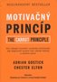 Motivačný princíp