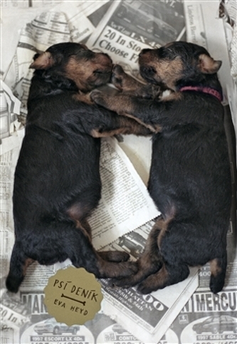 Psí deník Psí deník