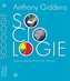 Sociologie