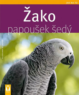 Žako papoušek šedý - Jak na to
