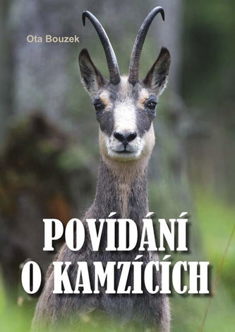 Povídání o kamzících