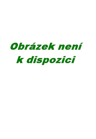 P.Dopita - Vánočni sen - 1 CD