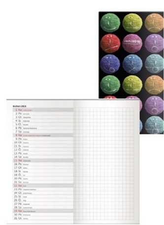 Školní diář Student 2015/2016 - Míčky