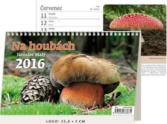 Kalendář stolní 2016 - Na houbách