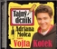 Tajný deník Adriana Molea