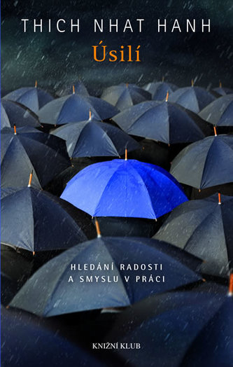 Úsilí - Hledání radosti a smyslu v práci