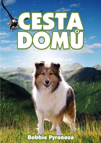 Cesta domů Cesta domů
