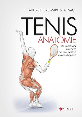 Tenis - anatomie Tenis - anatomie