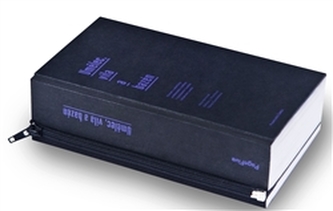 Umělec, vila a bazén Umělec, vila a bazén