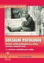 Sociální patologie - Závažné sociálně patologické jevy, příčiny, prevence, možnosti řešení