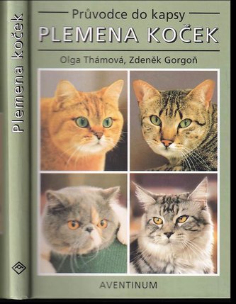 Plemena koček