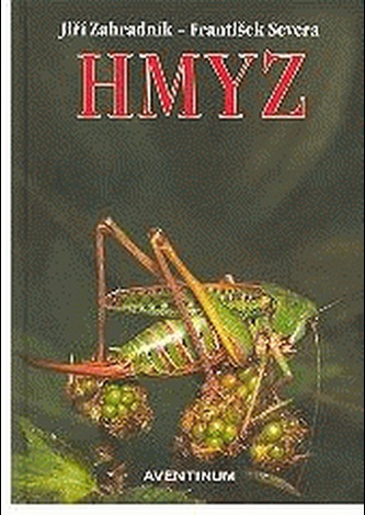Hmyz