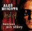 Aleš Brichta - Best Of - Beatová síň slávy - 2 CD