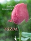 Túžba