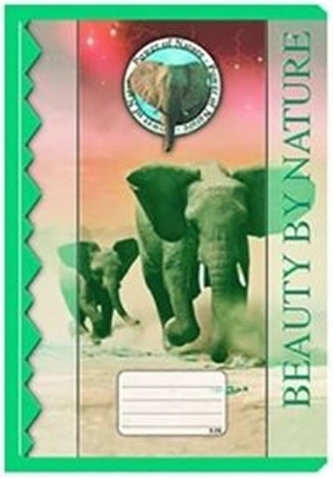 Sešit 525 Junior (Notes)