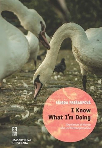 I Know What I´m Doing: Experiences of Women who Use Methamphetamine I Know What I´m Doing: Experiences of Women who Use Methamphetamine