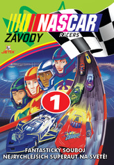 Závody Nascar 01