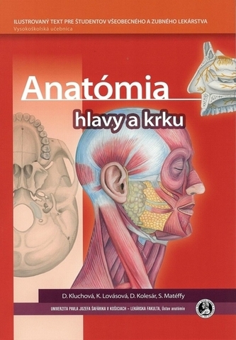 Anatómia hlavy a krku Anatómia hlavy a krku