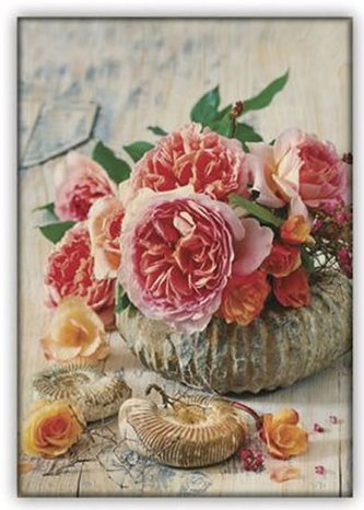 Obraz dřevěný: Shell, 340x485