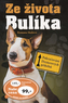 Ze života Bulíka pokračování