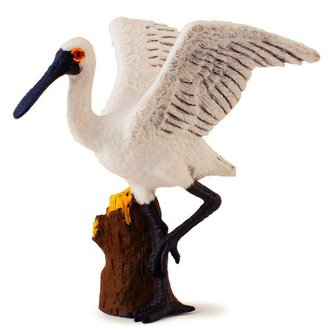 Kolpík malý stojící