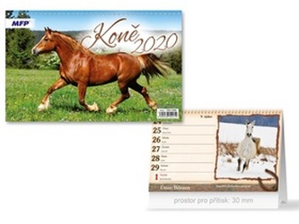 Koně - stolní kalendář 2020